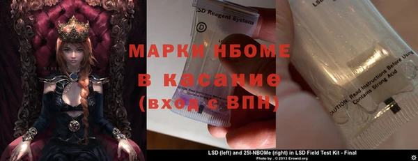 хмурый Алексин