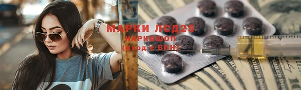стафф Алзамай