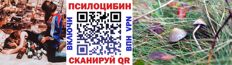 Галлюциногенные грибы Cubensis  Зеленогорск 